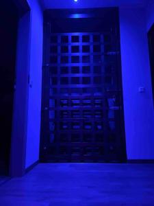 Freiraum Saarbrücken - Kinky Ferienwohnung