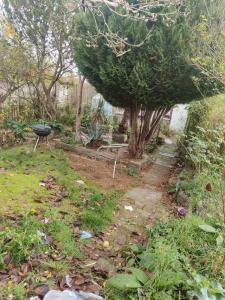 Beautiful 4 bedrooms apartment