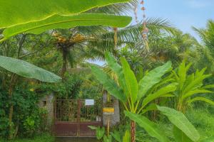 Jungle Hideaway Villas 2 - River Cafe