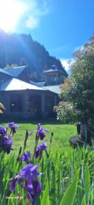 Hostería de Montaña Las Pataguas