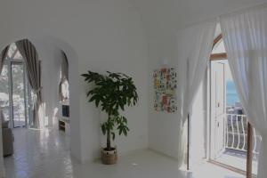 La Positanella - Positano bright apartment