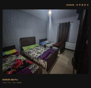 قرية النورس