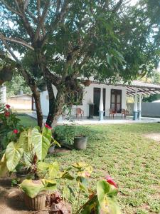 Amber villa