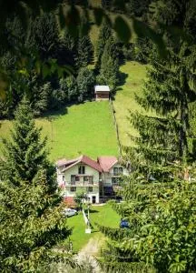 Pensiunea Puiu - 泽尔内什蒂