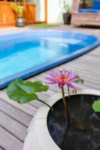 Serene Villa Uluwatu