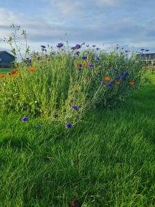 Cozy Holiday Home On Funens North Coast