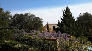 B&B / Chambres d'hotes La Pantoufle Verte : photos des chambres