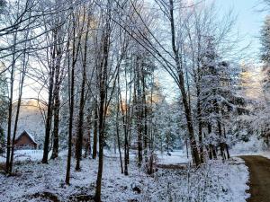 Domek w lesie DiABELSKi KOCiOŁEK