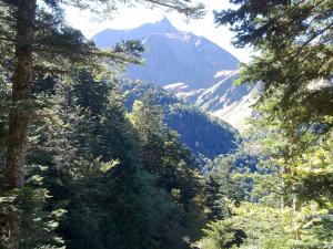 B&B / Chambres d'hotes Castel de la Pique : photos des chambres