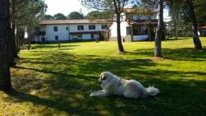 Artenatura BeB - 特拉诺瓦-布拉乔利尼