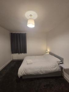 Modern 4 bedroom house in Belvedere