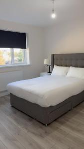 Welcome to Home away from home