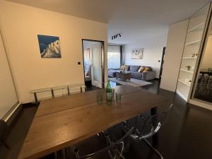 Penthouse with terrace near the center of Prague