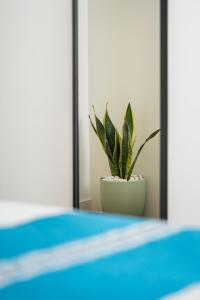 Spacious & Stylish 2BR Flat - Brand New in Porto