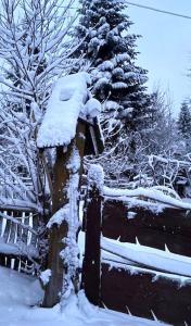 Chyża Chata na Krańcu Świata