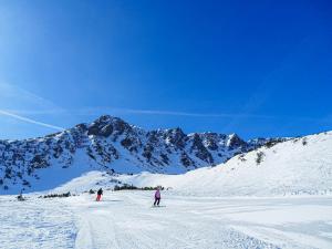 Apartment BergWiese 225