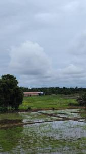 Wana Seven Crest Resort