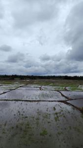 Wana Seven Crest Resort