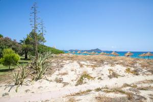 Cormoran Residence img68