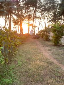 Nikhils Luxury Beach Cottages