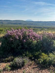 Chambre individuelle avec coin repas et entrée privative dans Villa avec Piscine WC & SDB communs