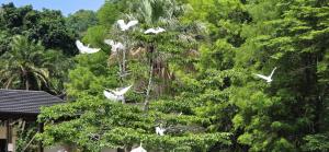 Eden Wilds J124 - Sleeps 4