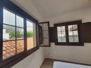 Blue Lizard Apartments