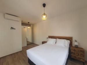 Blue Lizard Apartments