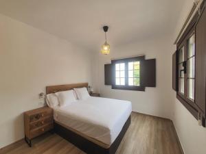 Blue Lizard Apartments