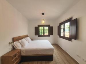 Blue Lizard Apartments