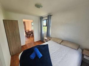 The Sandpiper - The Alikreukel , Pringle Bay