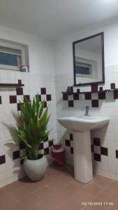 EVOKE Hostel Mirissa