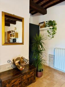 Agriturismo Ponte Di Riocchio