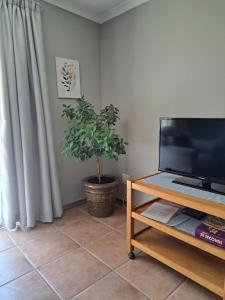 Susannas Self catering 2 bedroom apartment