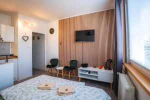 Výchozí bod pro saské Švýcarsko, pet friendly, Děčínský moderní apartmán