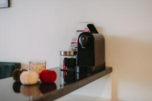 Výchozí bod pro saské Švýcarsko, pet friendly, Děčínský moderní apartmán