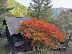 Cabin B vacation house rental Mt Fuji View 3 min lake Saiko 5min drive Lake Kawaguchi