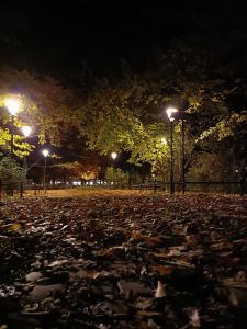 pokoje przytulnie jak w domu