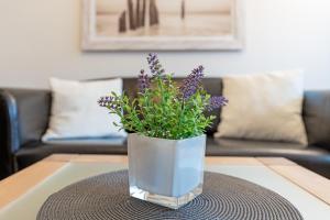 Hansa 3 Piontek Strandblick