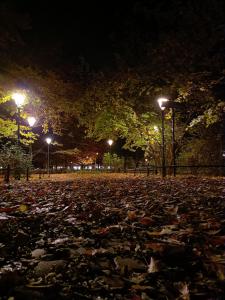 pokoje przytulnie jak w domu