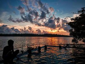 The Island On Bolgoda
