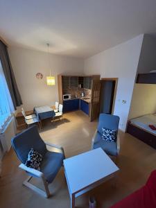 Apartment Anna Harrachov central