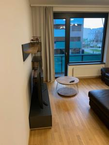 Apartment Holesovice, garden, garage