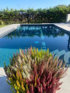 Independent Room in Villa with Pool