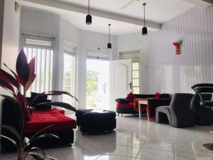 Hill Tips Tea Bangalow