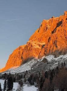 Appartamento Vale e Schena Cortina DAmpezzo