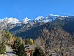 Charmant appartement 2-4 pers, La Clusaz, parking couvert - FR-1-459-98