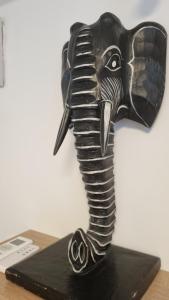 Elephant-In-A-Room w Glass Bath