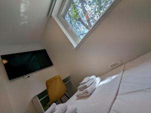 Elephant-In-A-Room w Glass Bath