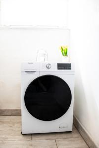 Elephant-In-A-Room w Glass Bath